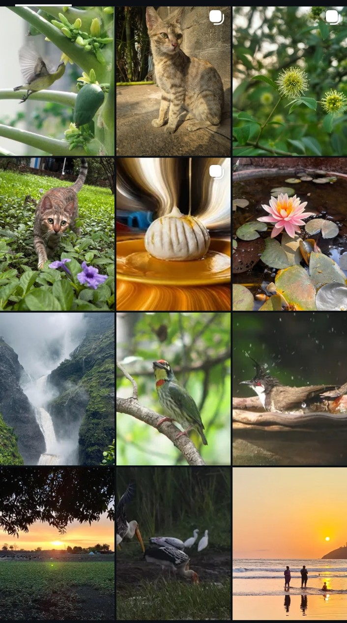 Photography Competition